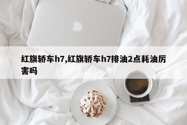 红旗轿车h7,红旗轿车h7排油2点耗油厉害吗