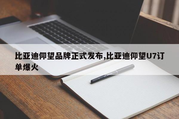 比亚迪仰望品牌正式发布,比亚迪仰望U7订单爆火