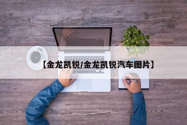 【金龙凯锐/金龙凯锐汽车图片】