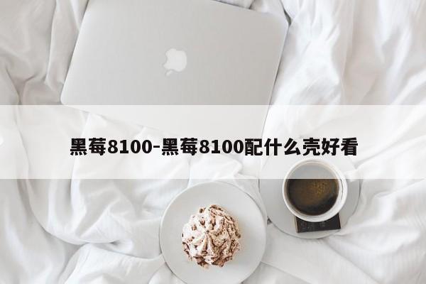 黑莓8100-黑莓8100配什么壳好看