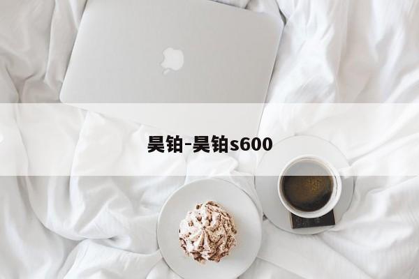 昊铂-昊铂s600