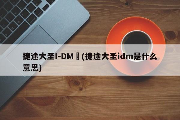 捷途大圣I-DM︰(捷途大圣idm是什么意思)