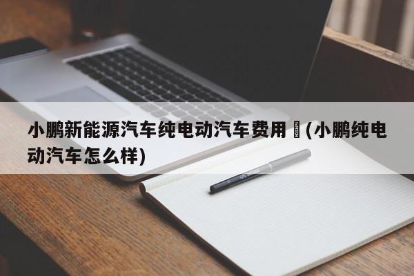 小鹏新能源汽车纯电动汽车费用︰(小鹏纯电动汽车怎么样)