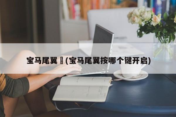 宝马尾翼︰(宝马尾翼按哪个键开启)