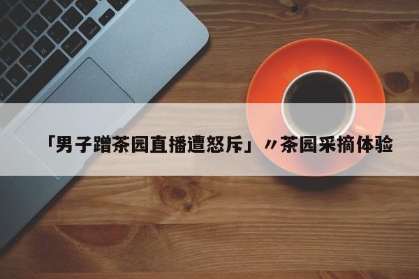 「男子蹭茶园直播遭怒斥」〃茶园采摘体验