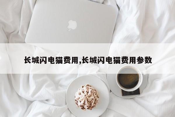 长城闪电猫费用,长城闪电猫费用参数